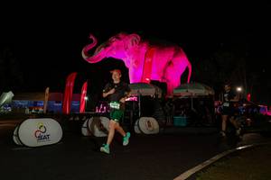 BIB: 
                            <button type="button" onclick="openModal(26535145)" class="btn btn-primary btn-sm float-right btn-popup" data-toggle="modal" data-target=".modal-high-quality">
                        <i class="fas fa-shopping-cart"></i> Add to Cart
                    </button>
                                            <button type="button" onclick="isThisMe(26535145, true)" class="btn btn-success btn-sm float-right btn-popup btn-isme hidden" data-toggle="tooltip" data-placement="bottom" title="นี่คือรูปของคุณใช่ไหม คลิกที่นี่เพื่อเอาเข้าอัลบั้ม">
                        <i class="fas fa-plus"></i> Add to album
                    </button>
                    <button type="button" onclick="isThisMe(26535145, false)" class="btn btn-warning btn-sm float-right btn-popup btn-isnotme hidden">
                        <i class="fas fa-ban"></i> Remove from album
                    </button>